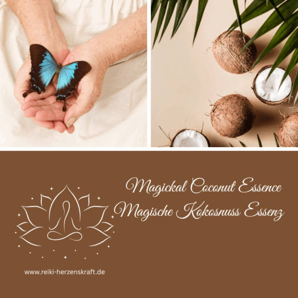 Magickal Coconut Essence - Magische Kokosnuss Essenz,Reiki Herzenskraft, Reiki Shop, Reiki Energiesysteme & spirituelle Ausbildungen, Ferneinweihungen, Energie & Heilarbeit